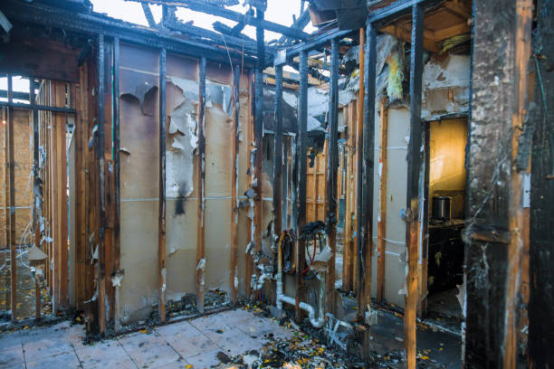 Professional Fire Damage Removal technician working in Fort Myers, FL