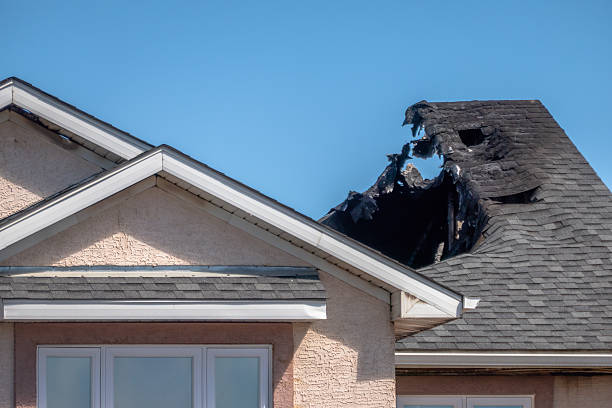 Top rated local Fire Damage Removal specialists in Fort Myers, FL